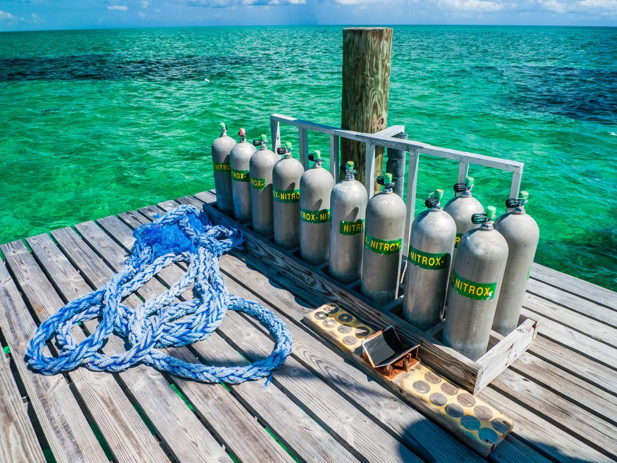 You are currently viewing What Are The Benefits of Diving on Nitrox?
