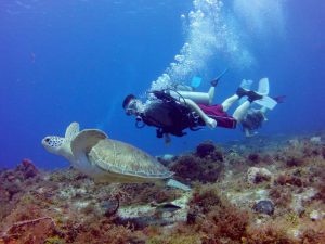 Top 10 Tips for New Divers
