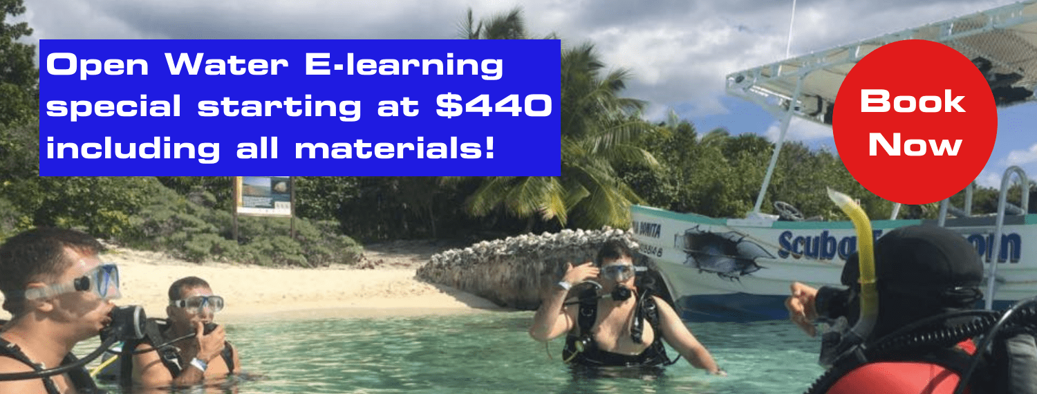 open water e-learning special starting at $440 including all materials