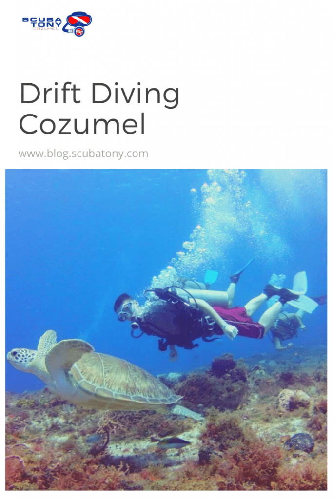 In The Drift | Drift Diving Cozumel