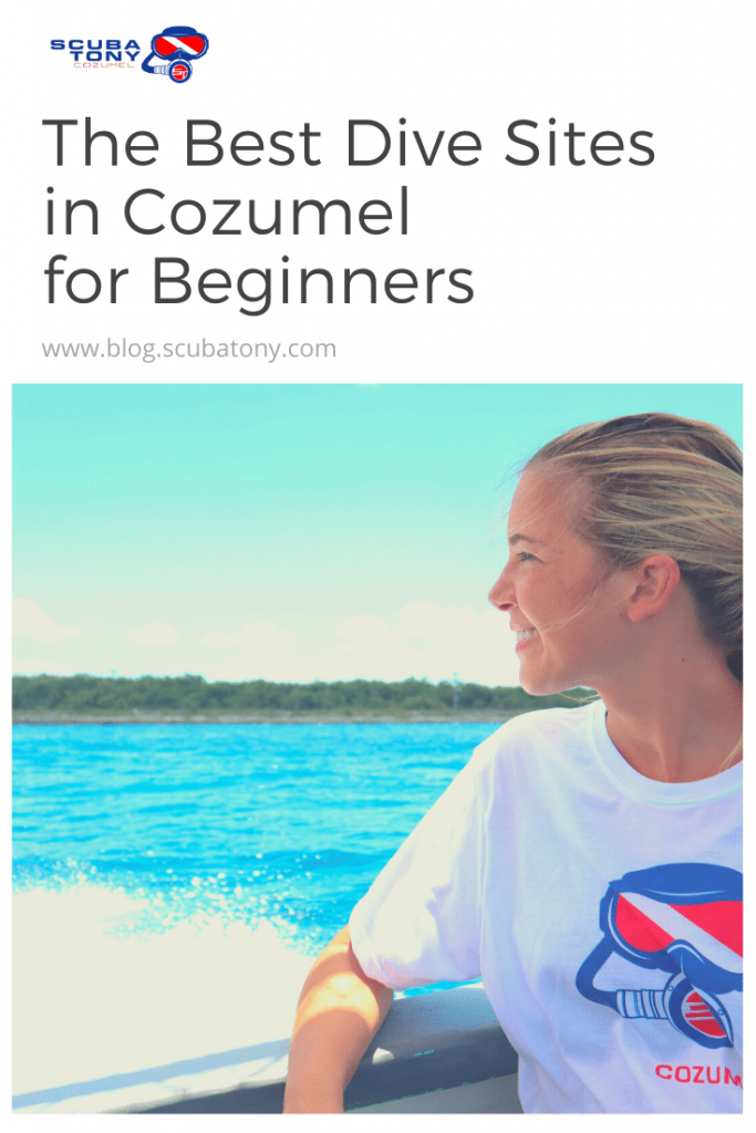 The Best Dive Sites in Cozumel for Beginners