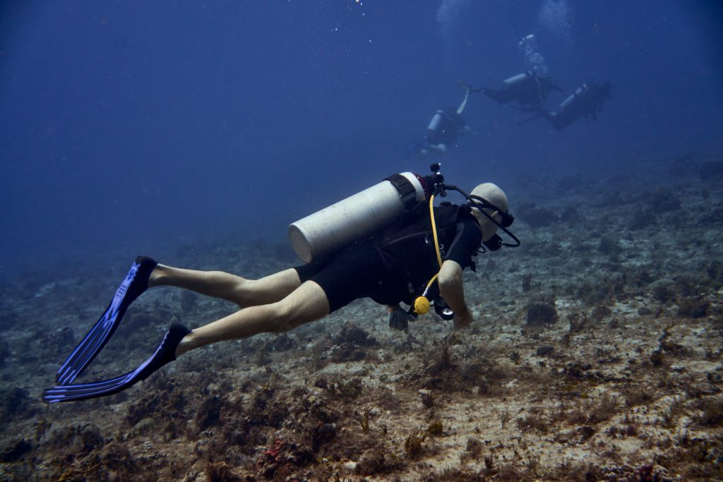 The Ten Best Dive Sites in Cozumel